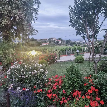 Ada - Sannio 乡村民宿 *