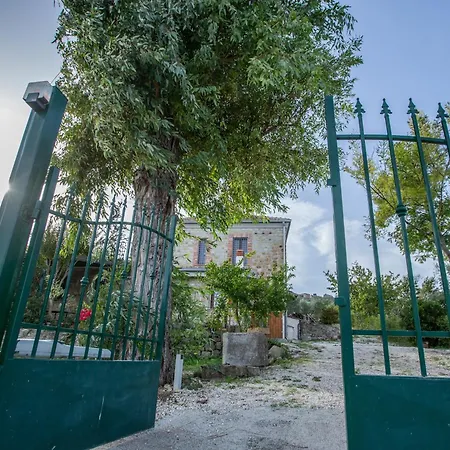 Ada - Casale Nel Sannio Torrecuso